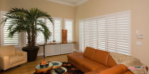 Shutters in Orange