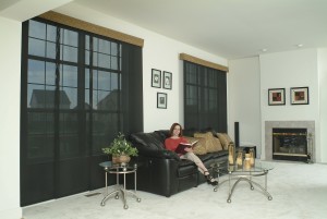 Dave's House SOE Shades of Elegance roller shades